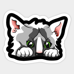 Cute Cat Lurking Funny Kitten Sticker